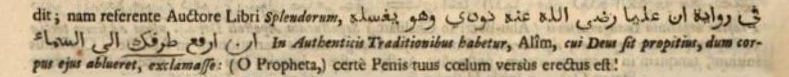 The Latin text which was translated from Arabic by Joannes Gagnier.